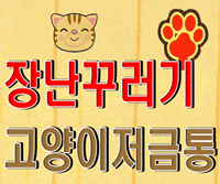 [AUTO BOX]�������� ��Ÿ����ũ ����